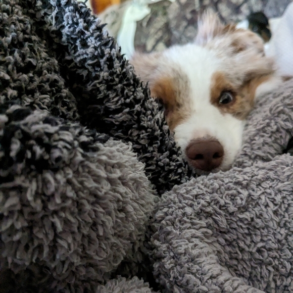 Meet your Posher, Shawne - Picture 4 of 16